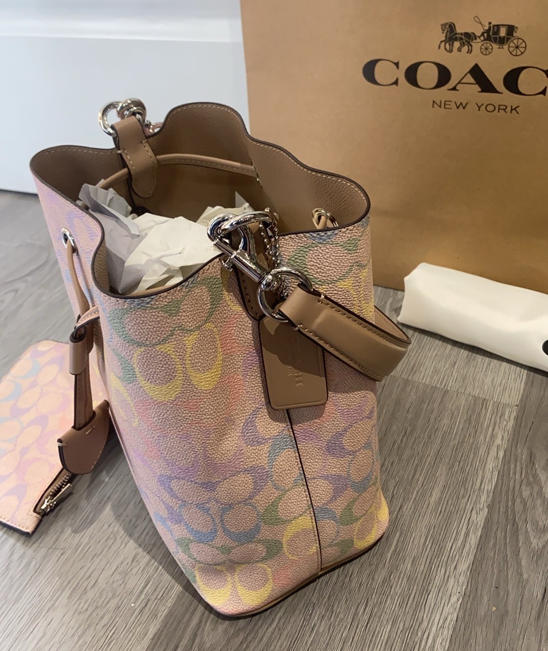 Rowan Bucket Bag In Rainbow Signature Canva silver/Sand Multi CDA92